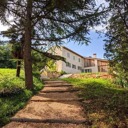 Agriturismo Monte Bisson Soave  Exterior foto