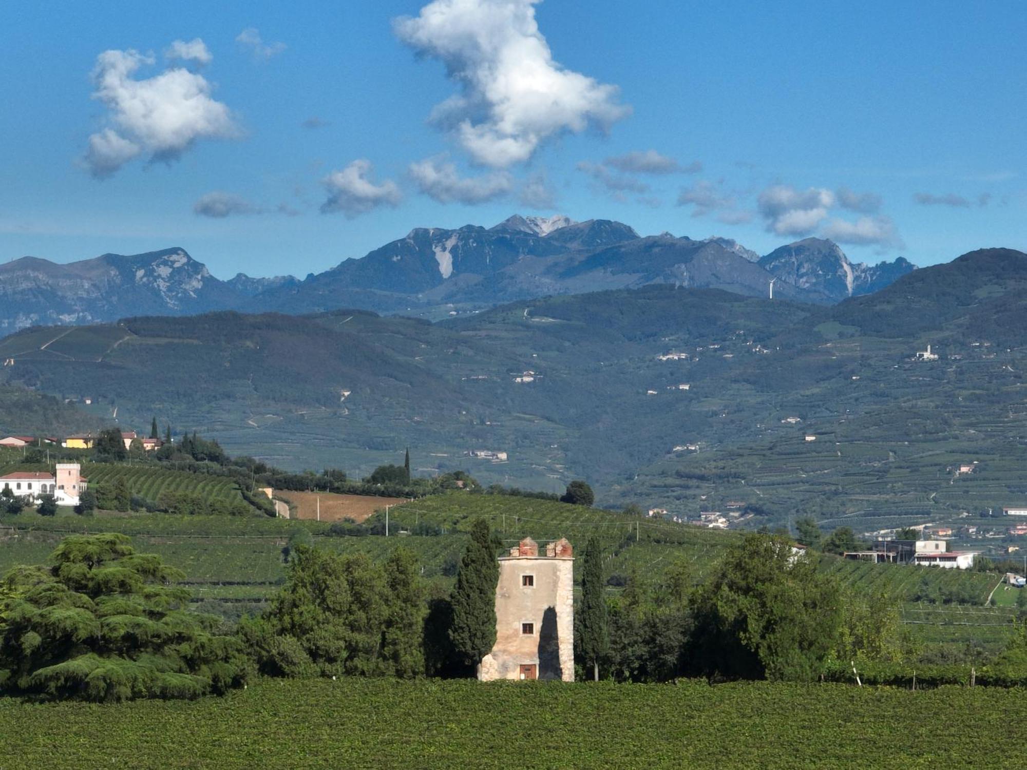 Agriturismo Monte Bisson Soave  Exterior foto